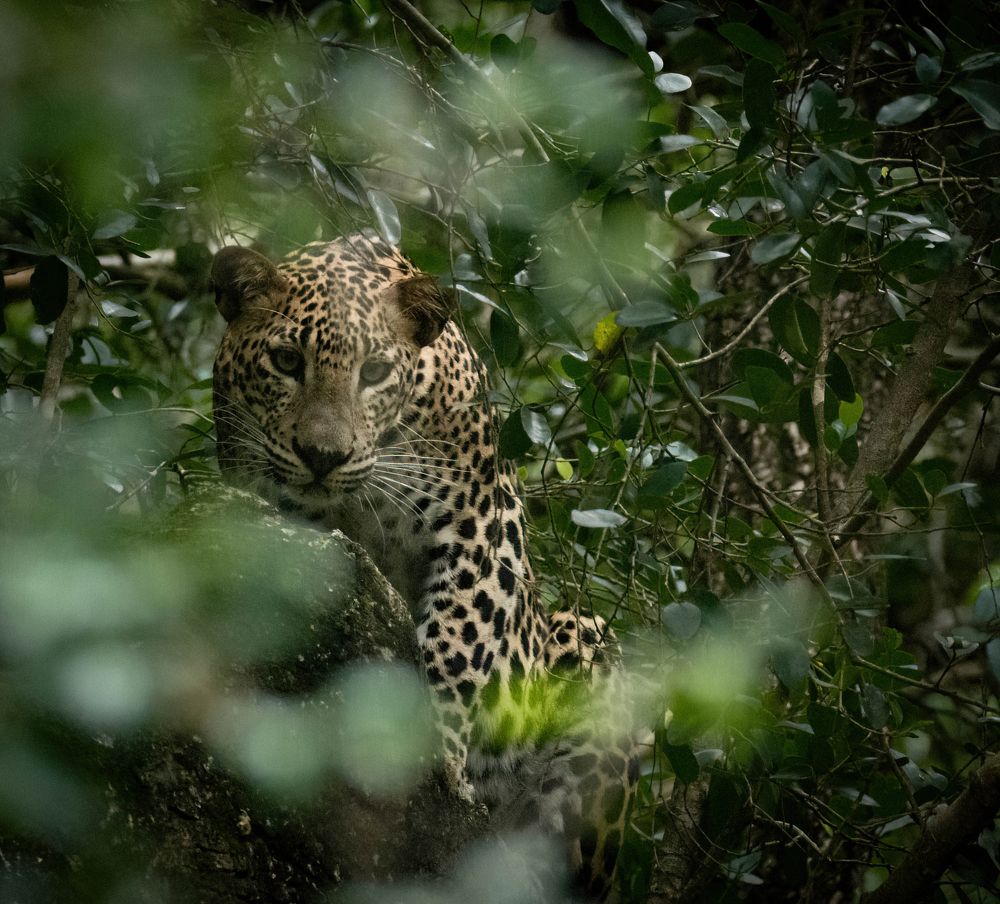 Photograph by Yuganthan Nallusamy