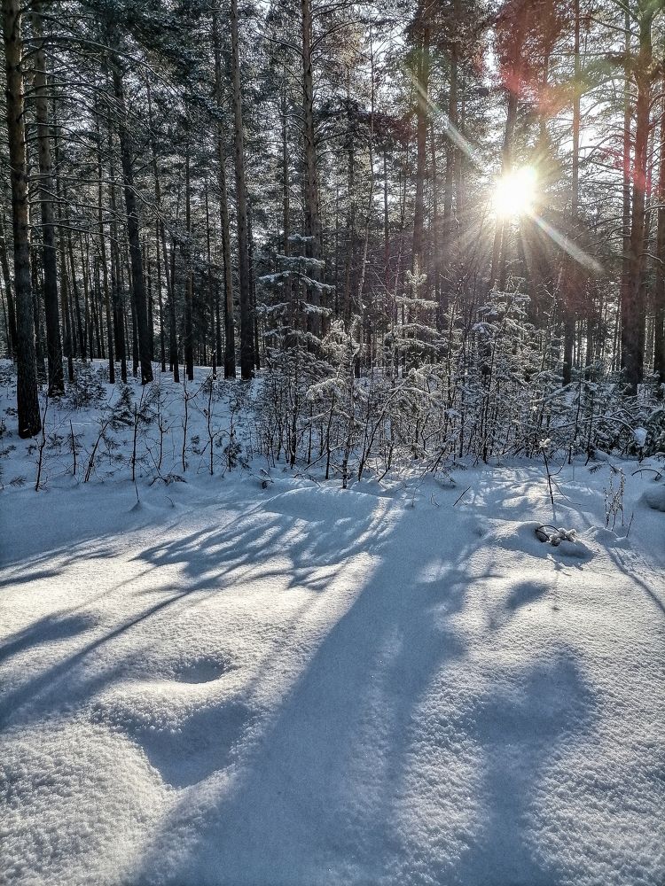 Photo #6967514