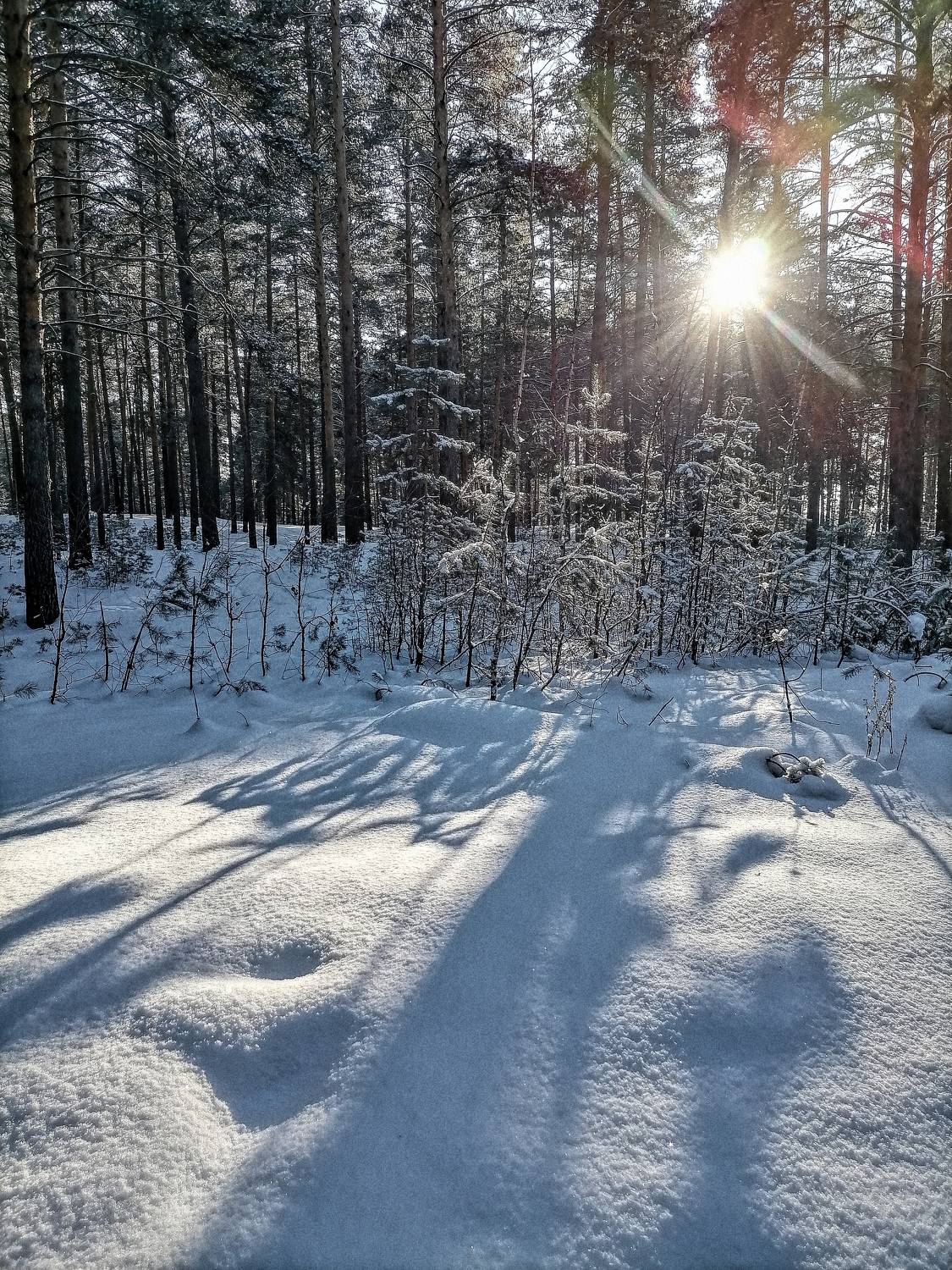 Photo #6967514