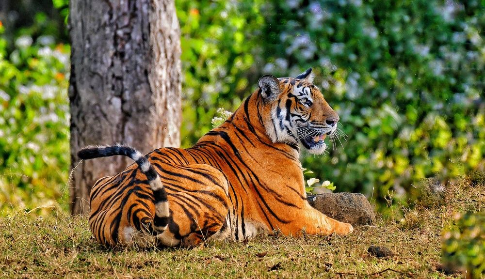 Photograph by Anantha ramu Mudagandur