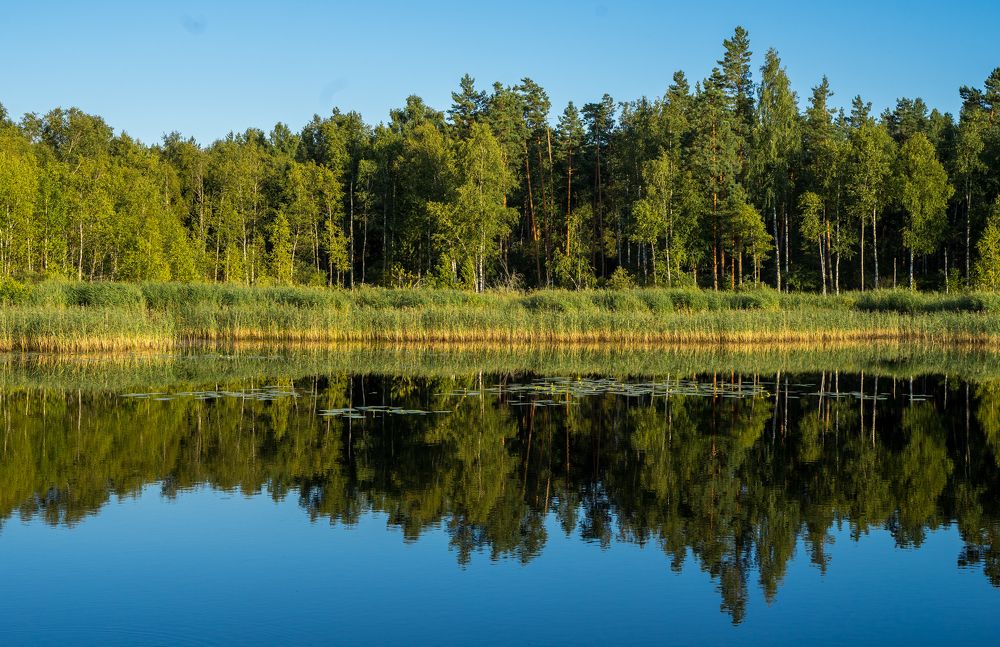 Фотография автора Василиса Новикова