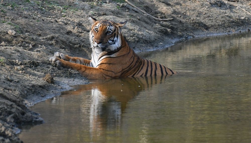 Photograph by Anantha ramu Mudagandur