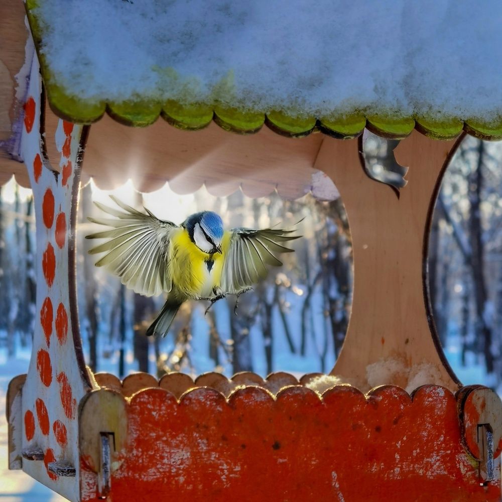 Мягкая посадка