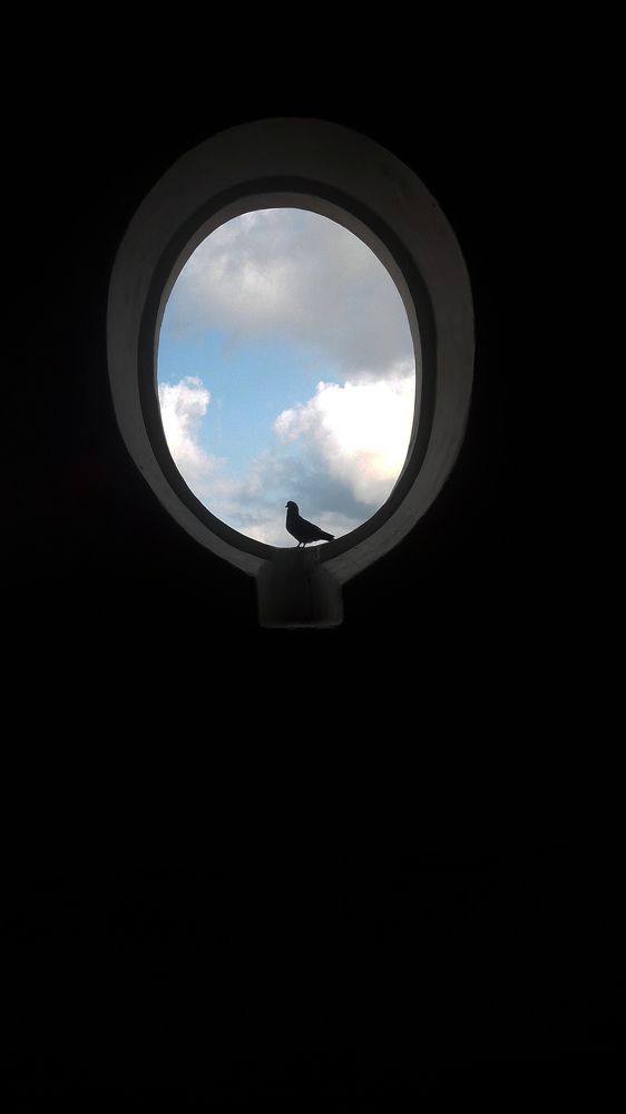 Planeta tierra (Planet earth)