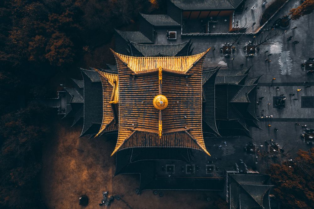 Photograph by S. Martin