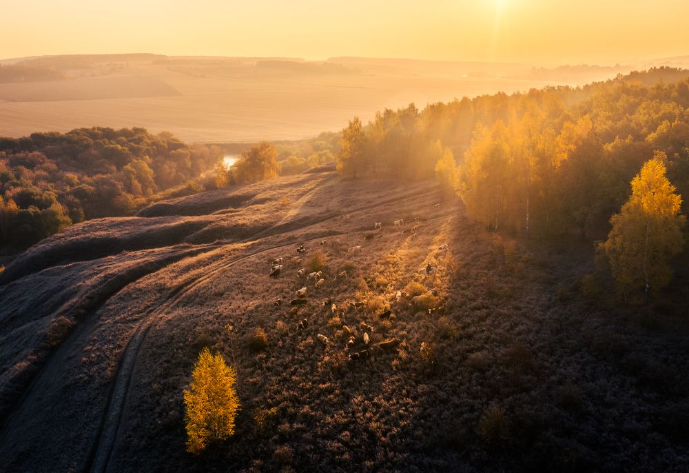 Фотография автора Гарбузов Илья