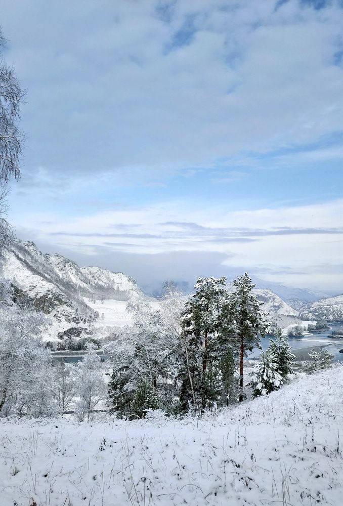 Photo #6967743