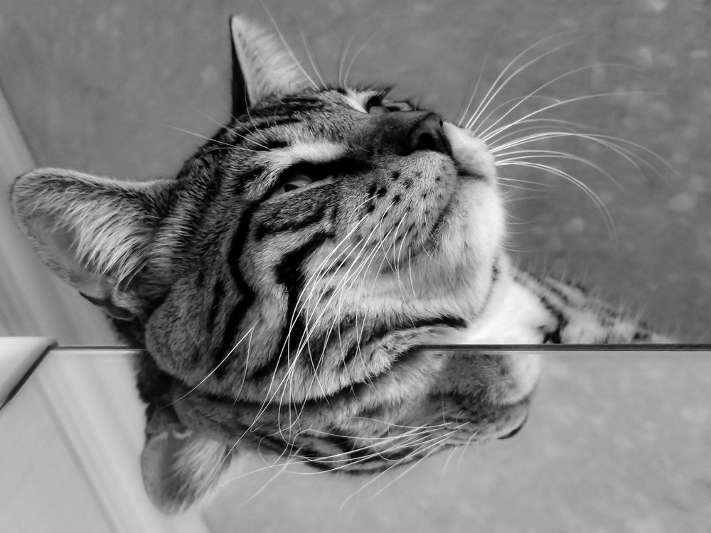 Фотография автора Александр Кадышев