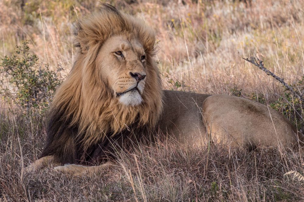 Photograph by Victor Belokrinitski