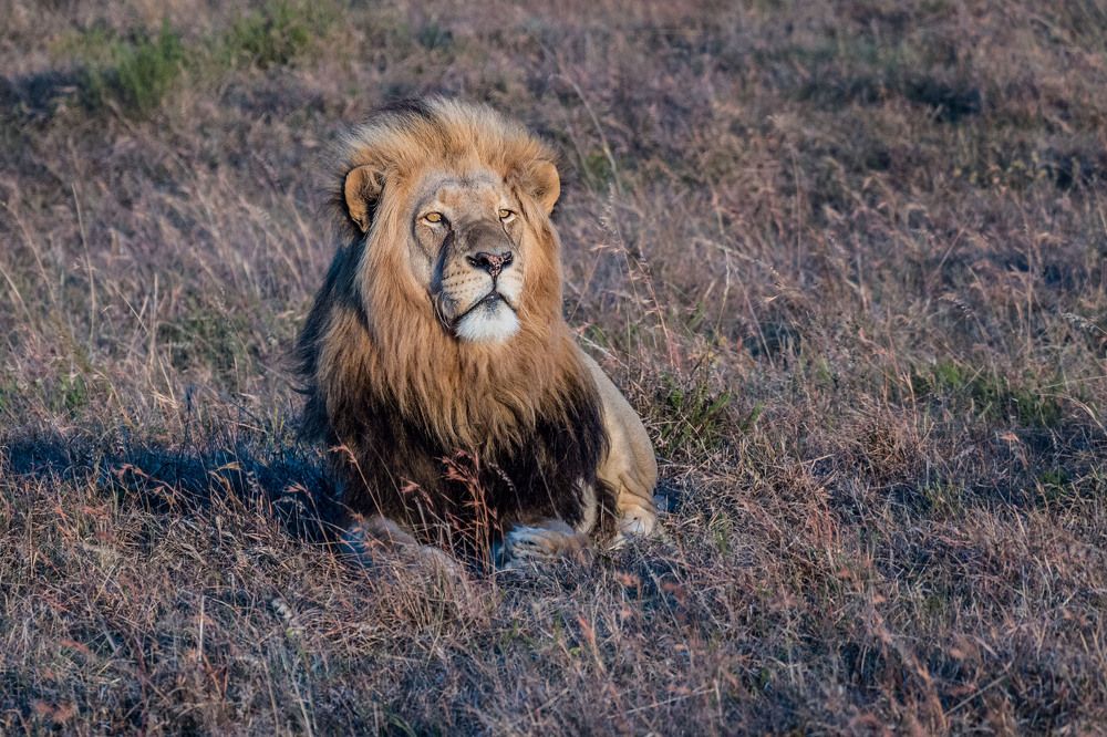 Photograph by Victor Belokrinitski