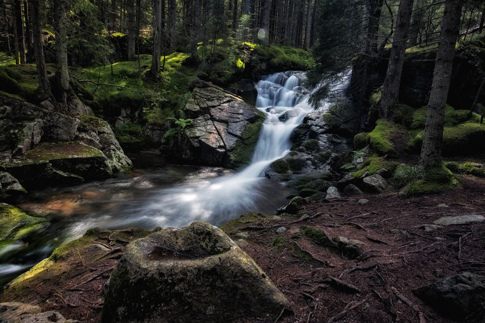 Фотография автора Cristian Resiga