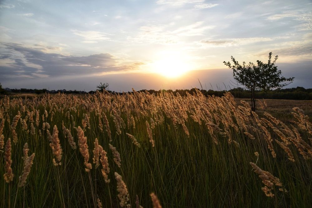 Photograph by Bulatova Maiya