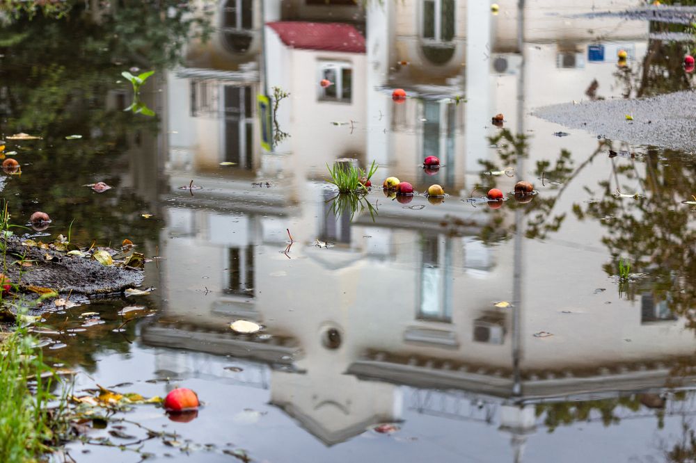 Photograph by Илья Замулин