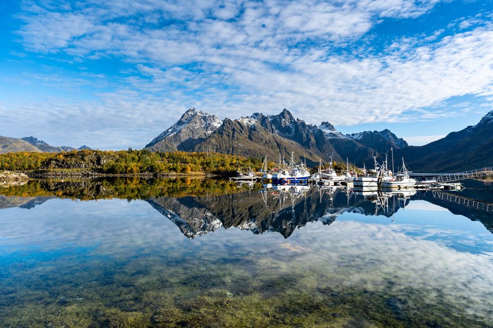 Фотография автора Michail Neganov