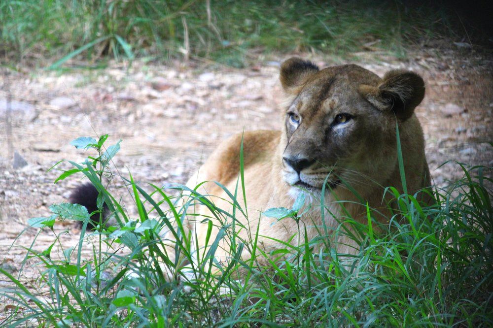 Photograph by Ramki Ramesh