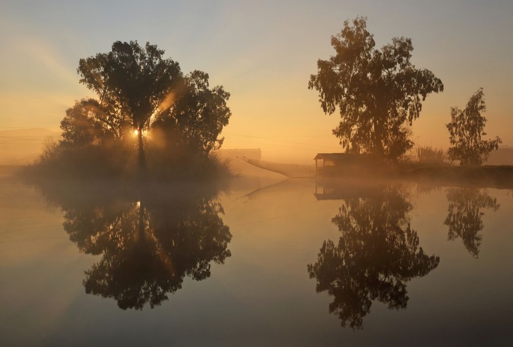 Photograph by simone batini