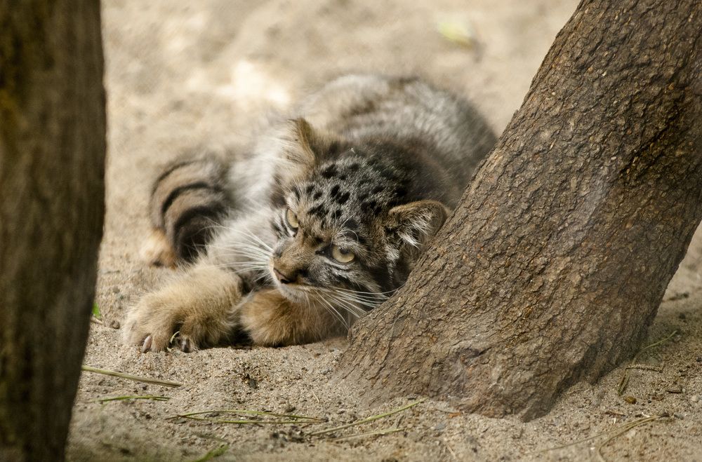 Photograph by Сергей Балухта