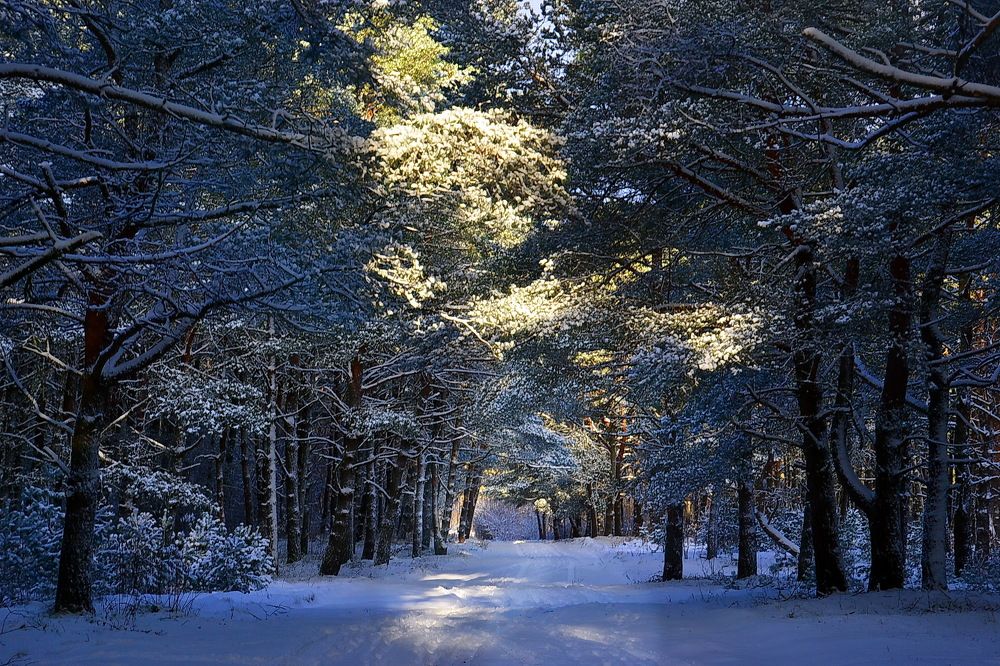 Photograph by Дмитрий Волков