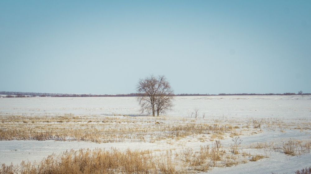 Photograph by Илья Замулин