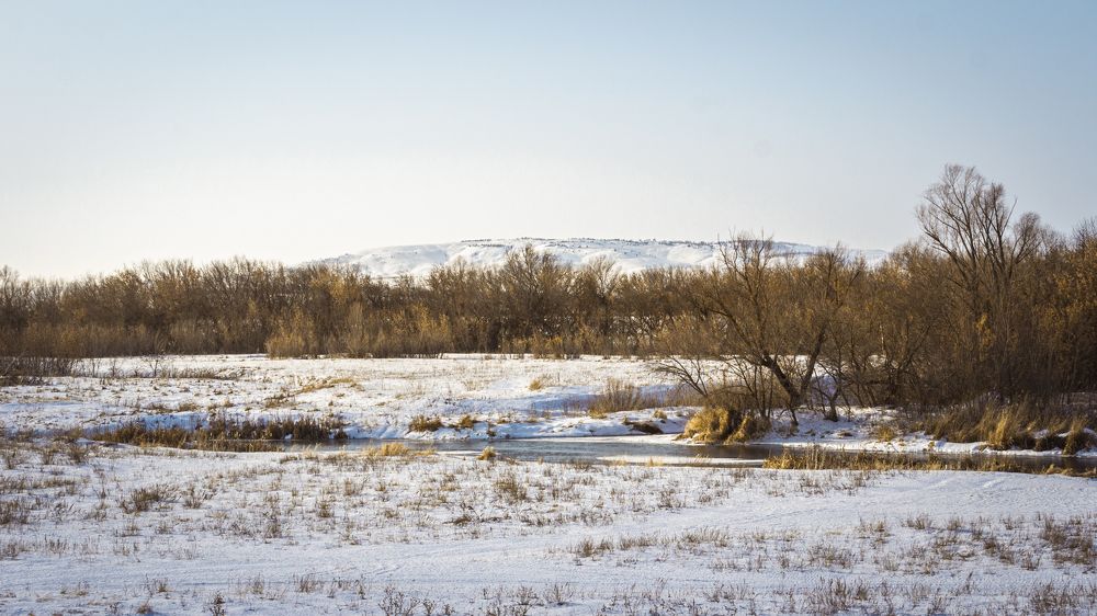 Photograph by Илья Замулин