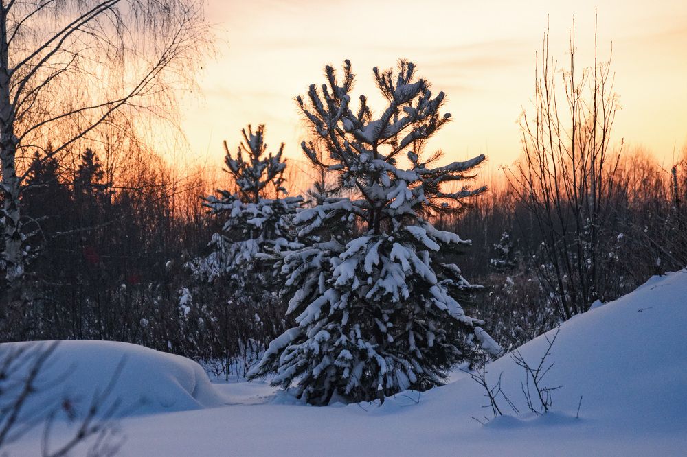 Photograph by Надежда Дорошенко