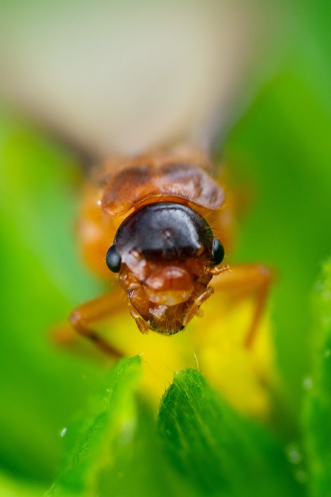 Photograph by PRABANJAN KARUPPUSAMY