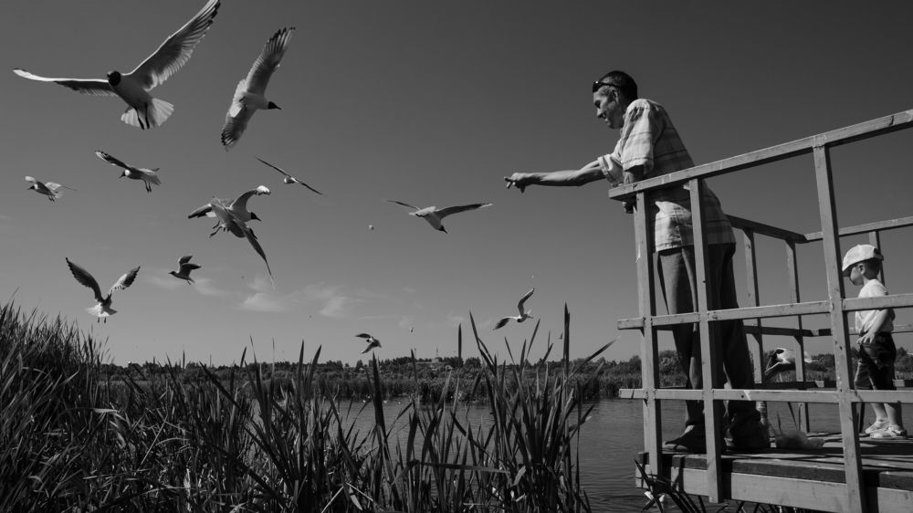 Photograph by Photos Dif