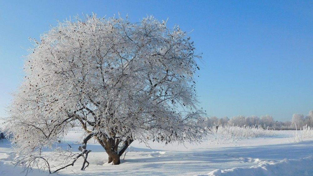 Photo #6968015