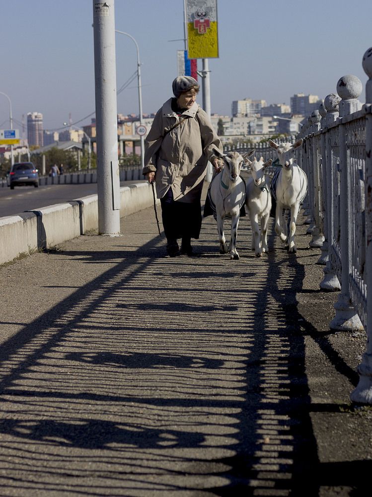 Photograph by Александр Хитров