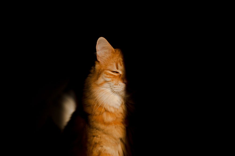 Photograph by Александр Хитров