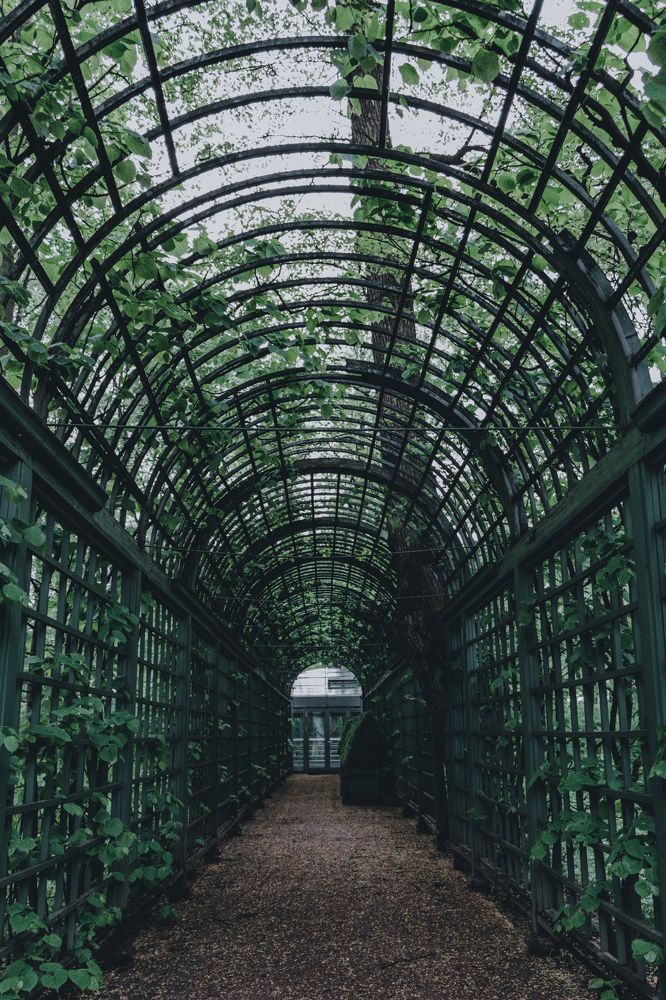 Фотография автора Андрей Николаенко