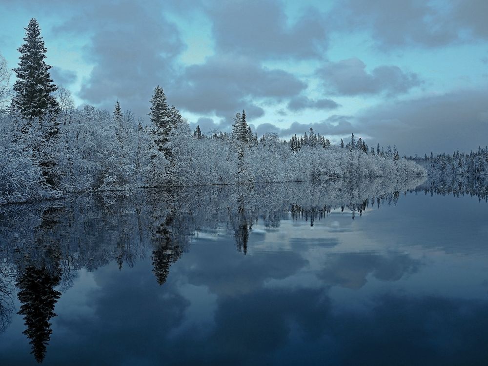 Photograph by Евгений Яковлев