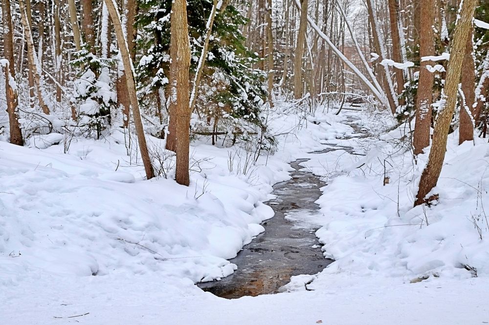 Черная речка