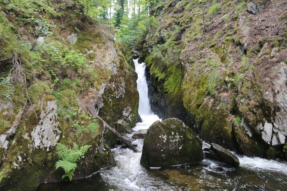 Photograph by Софья