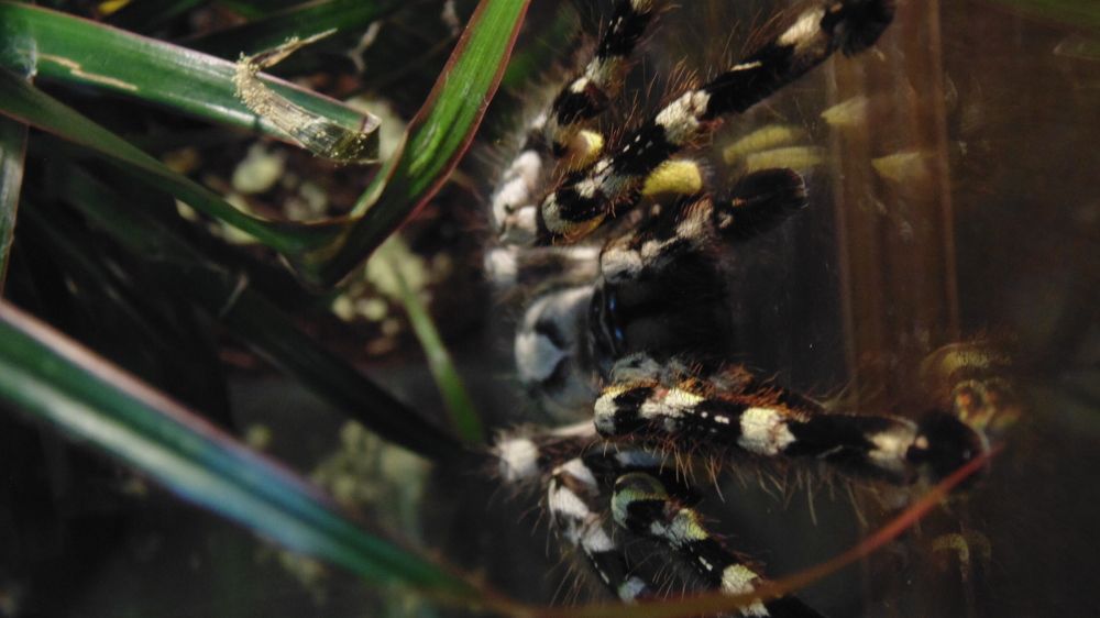 Photo #6968227