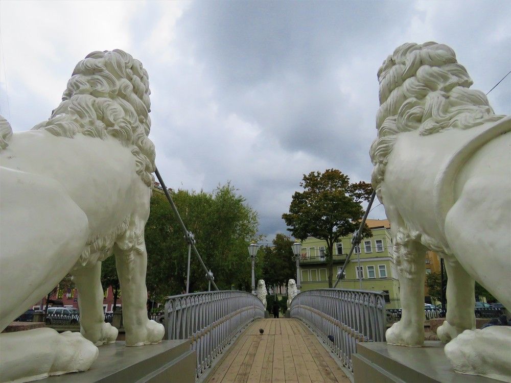 Photograph by Валерия