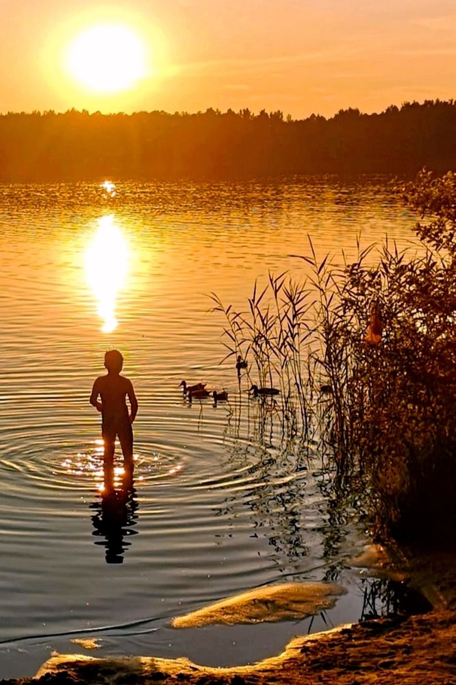 Неожиданная встреча...