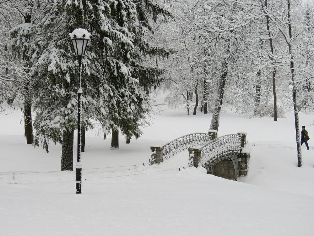 Photograph by Валерия