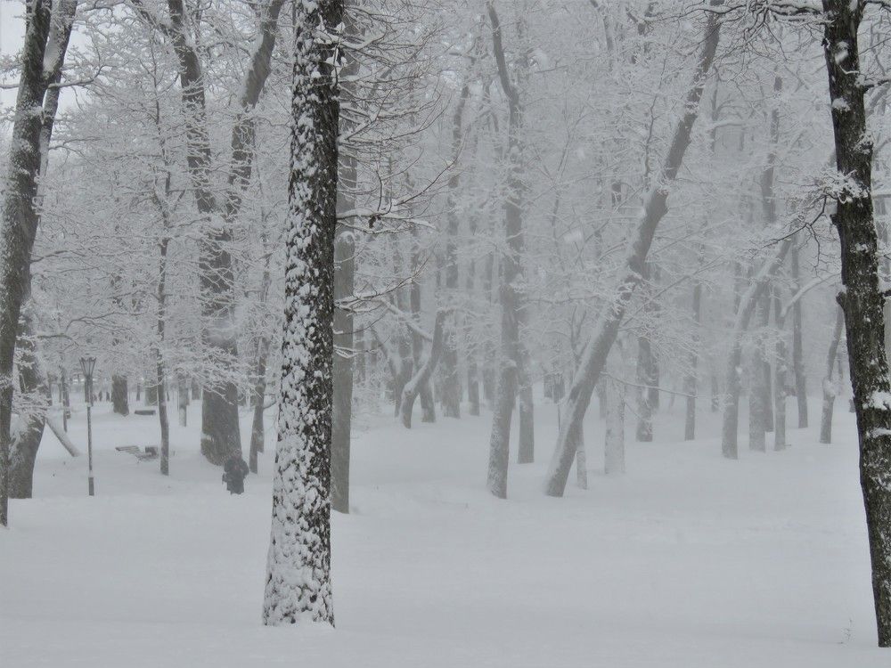 Photograph by Валерия