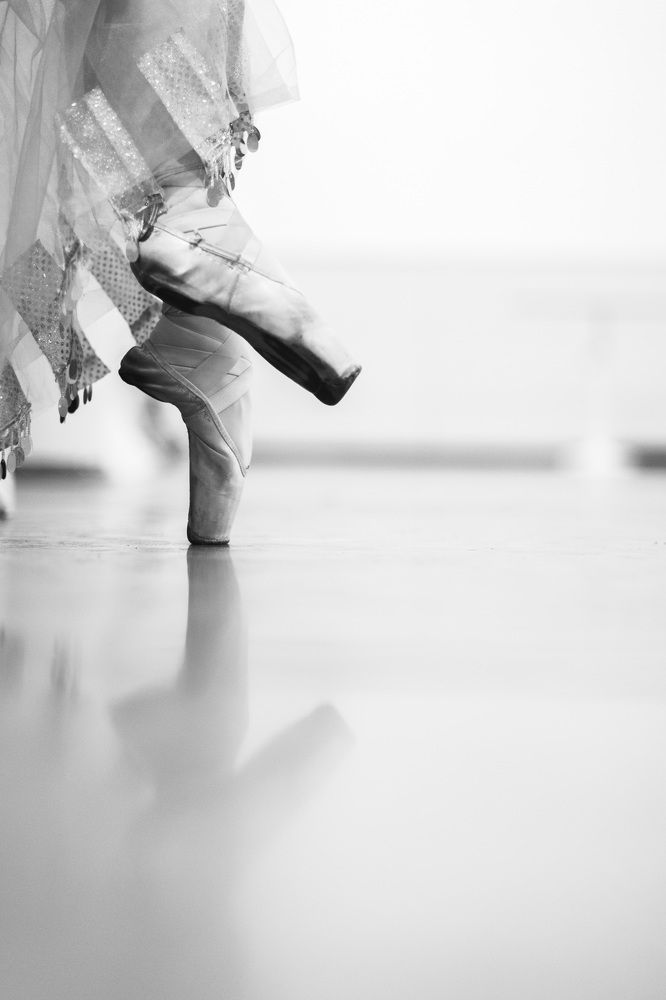 Photograph by Martin S.