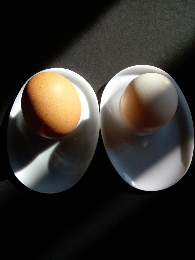 Photograph by Людмила