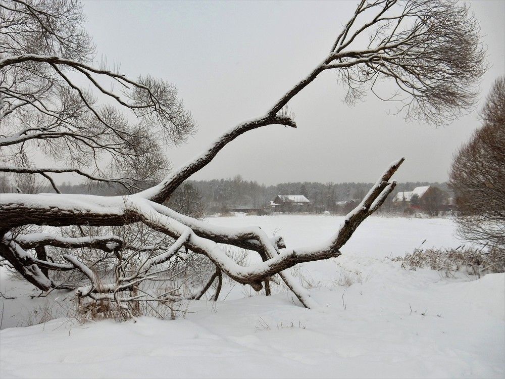 Photograph by Елена Гуляева