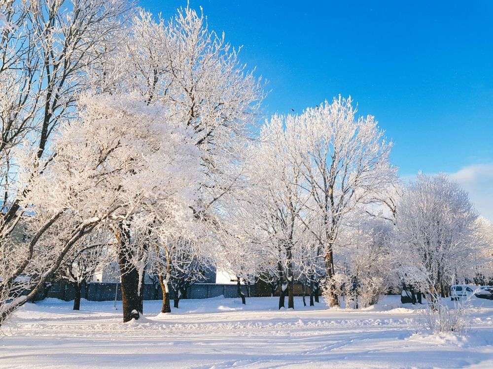 Photograph by Сергей Новиков