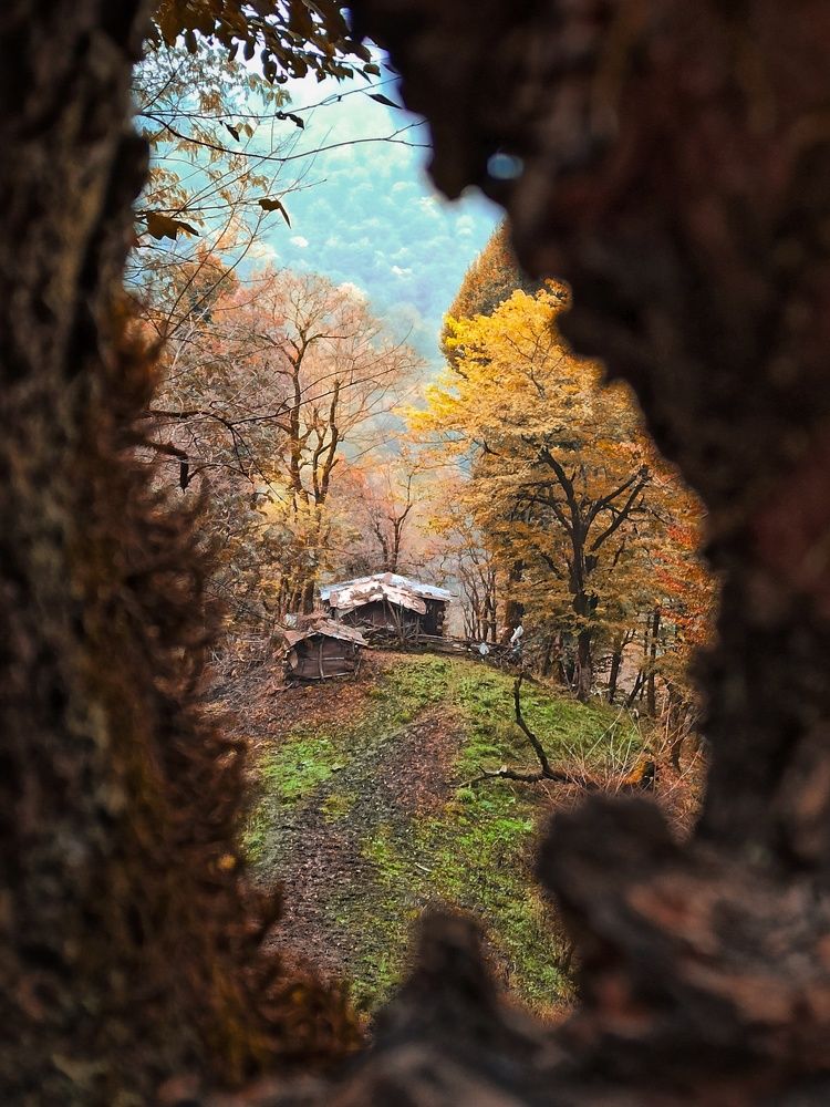 Photograph by Pourya farajpour