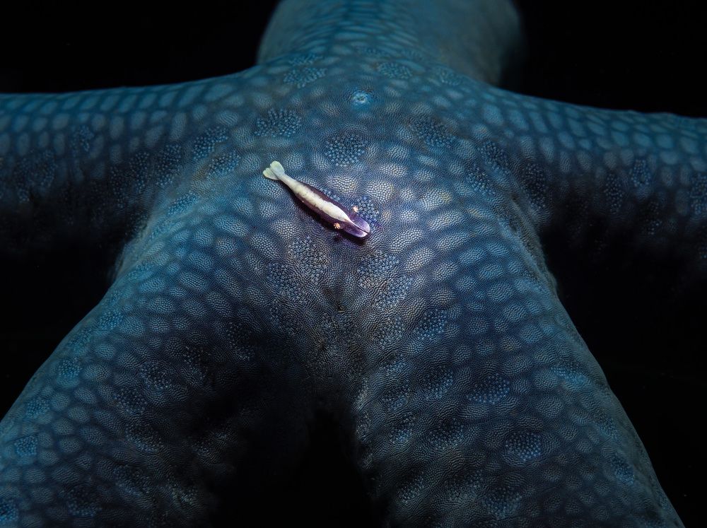 Photograph by Андрей Савин