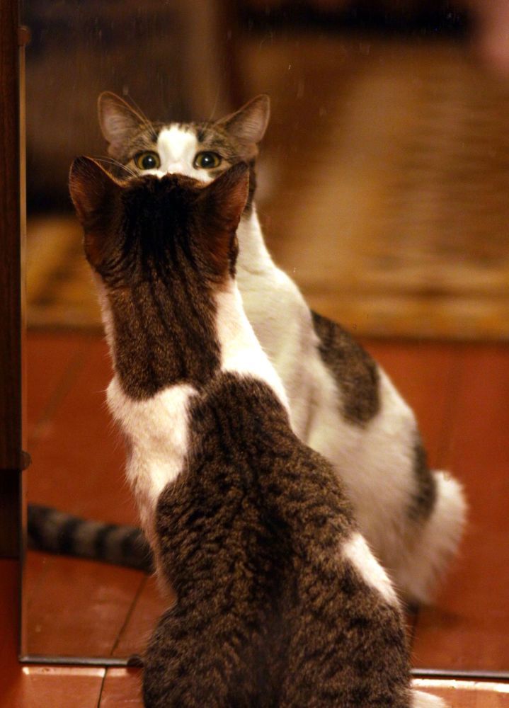 Photograph by Виктор Борисов