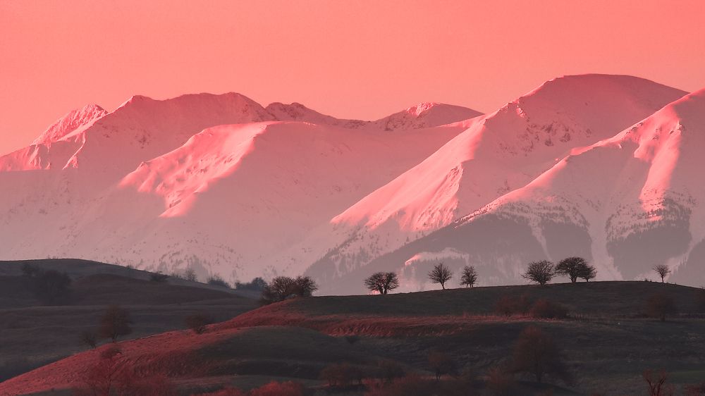 Фотография автора Flegner Calin