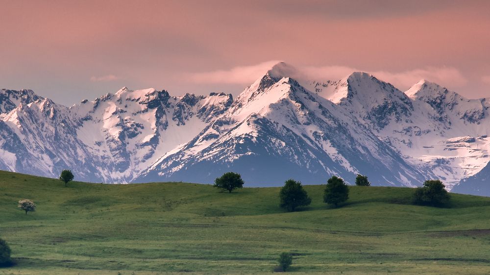 Фотография автора Flegner Calin
