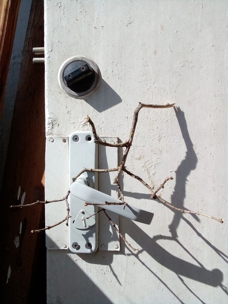 Photograph by Людмила