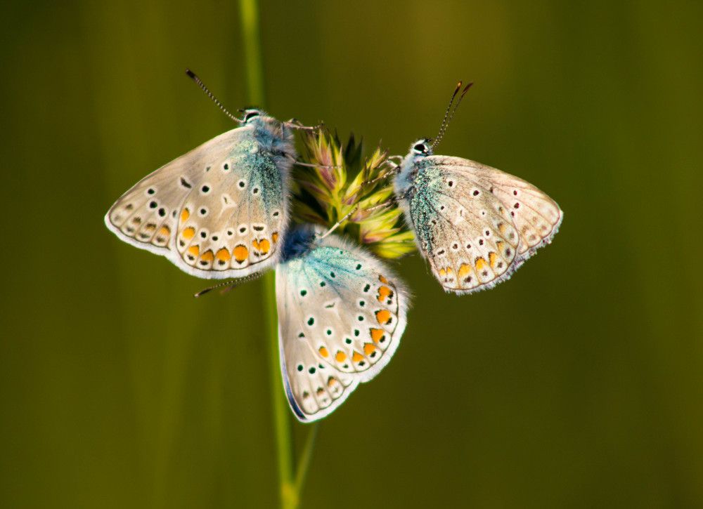 Photograph by Silvestar Filko